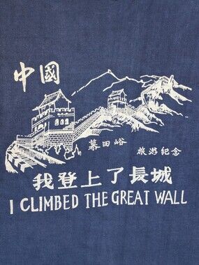Vintage I Climbed The Great Wall T Shirt Adult Large Tourist China Hipster Tee